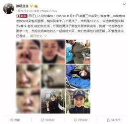 泰国旅行爆料视频播放网站,热门视频网站揭秘热门景点与玩法